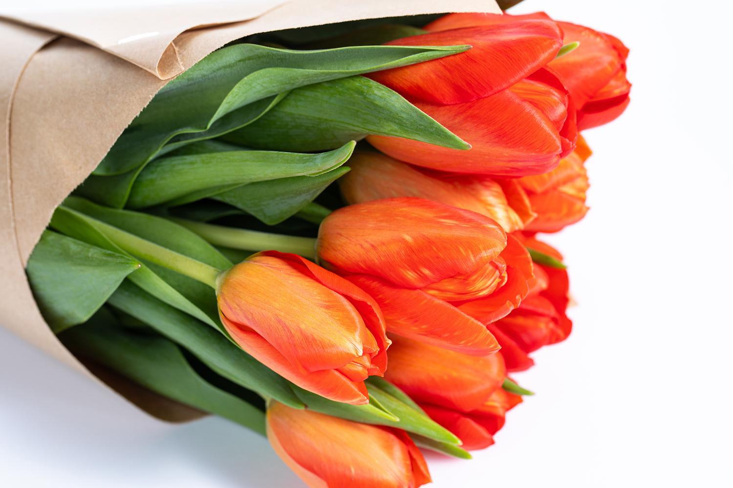 Wrapped Cut Tulip Bouquet | Catering by Dorothy Lane Market