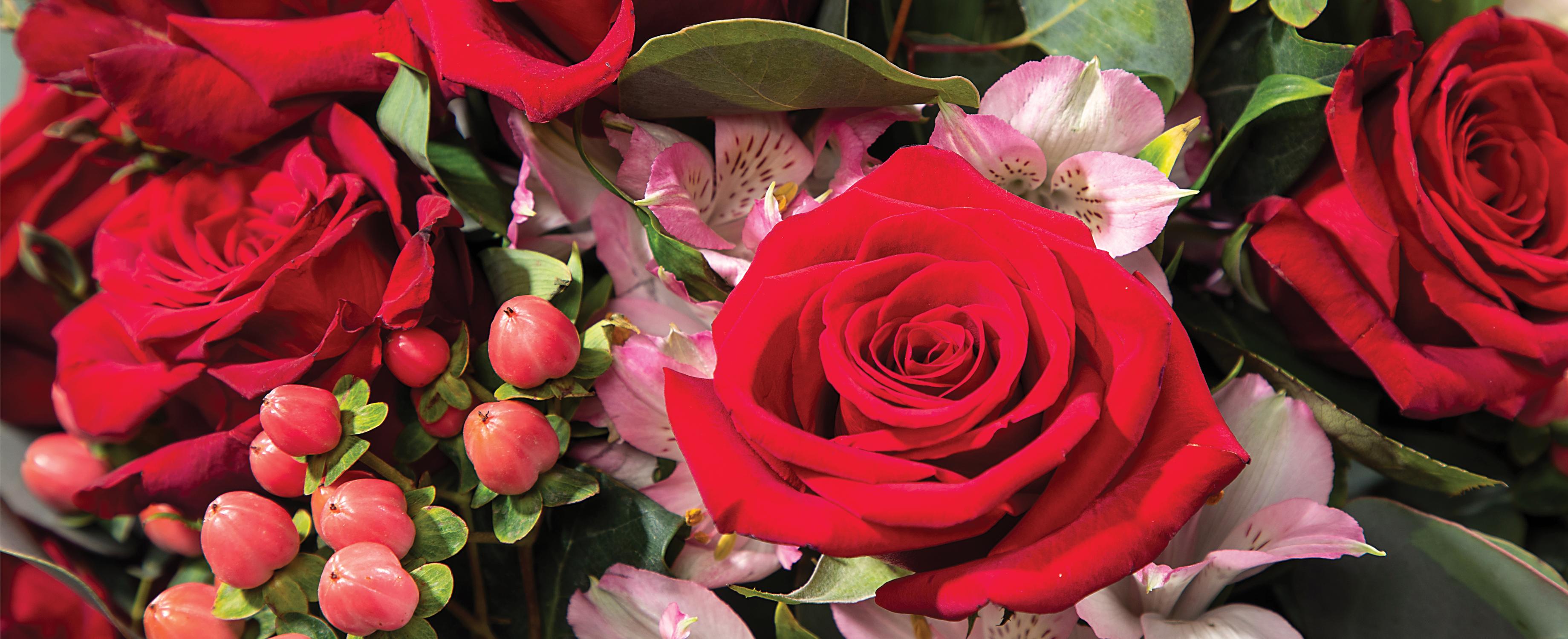 Order Valentine's Roses