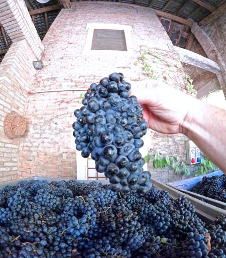 DLM Food Tour - Sardinia