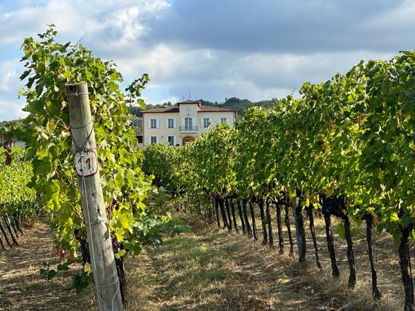 DLM Food Tour - Sardinia