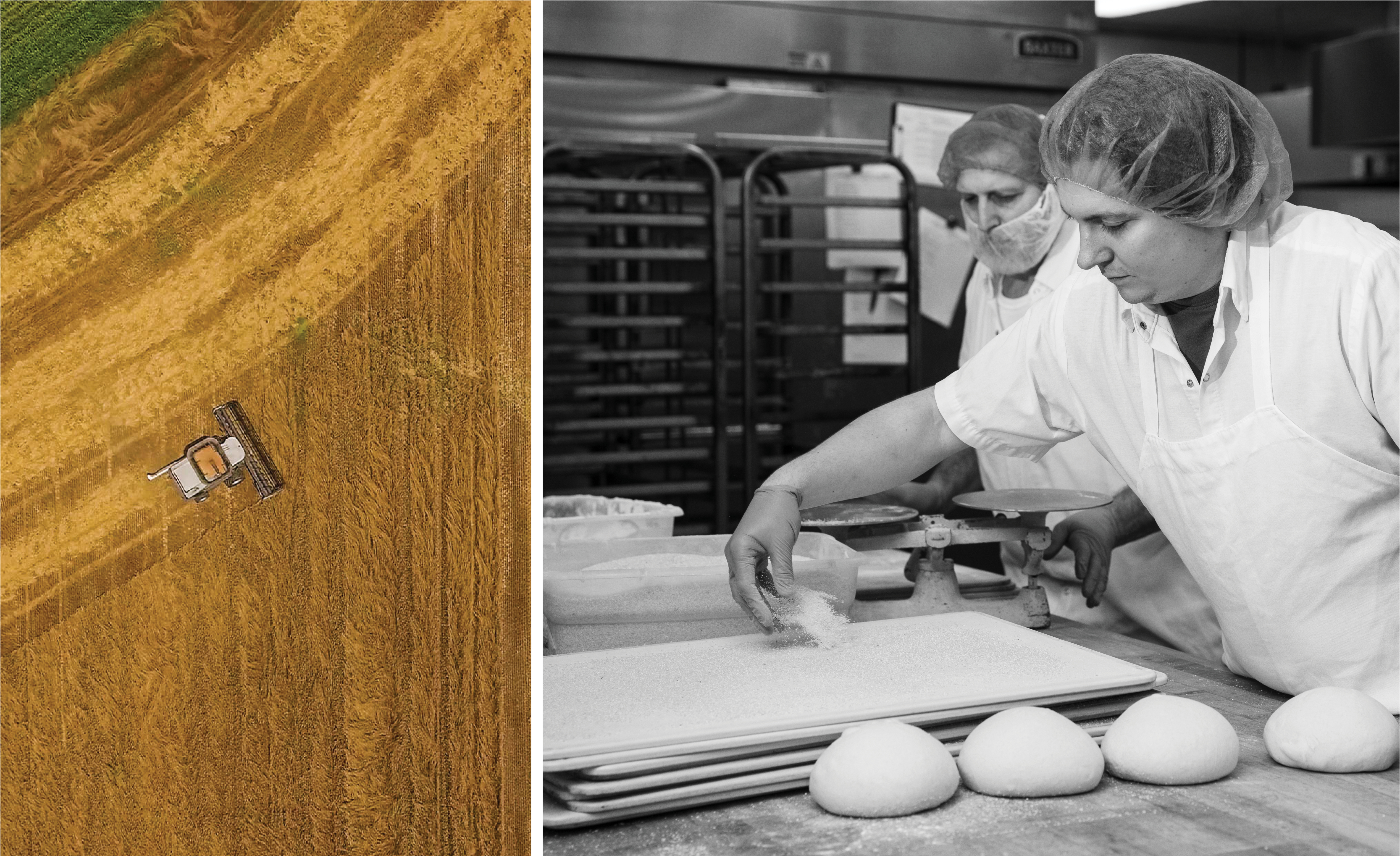 DLM Artisan Bread local grians