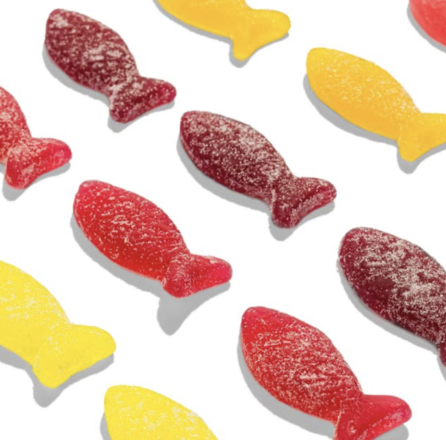 Bonbon nyc sampler collage