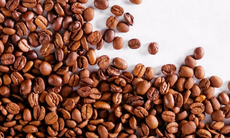 Learn More About Boston Stoker at Dorothy Lane Market