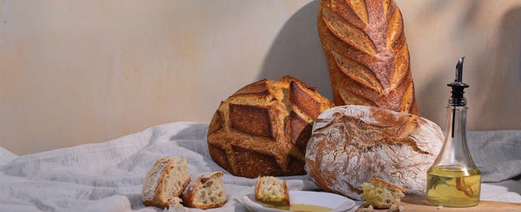 Rising to the Challenge: Artisan Bread