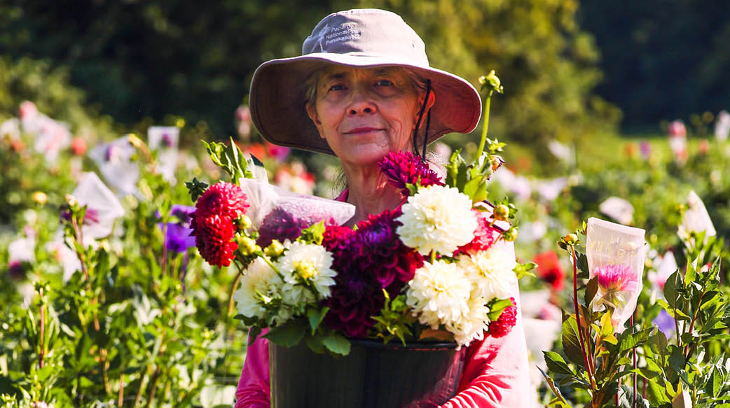 Woman holding a bucket of flowers at Peach Mountain Organic flower farm