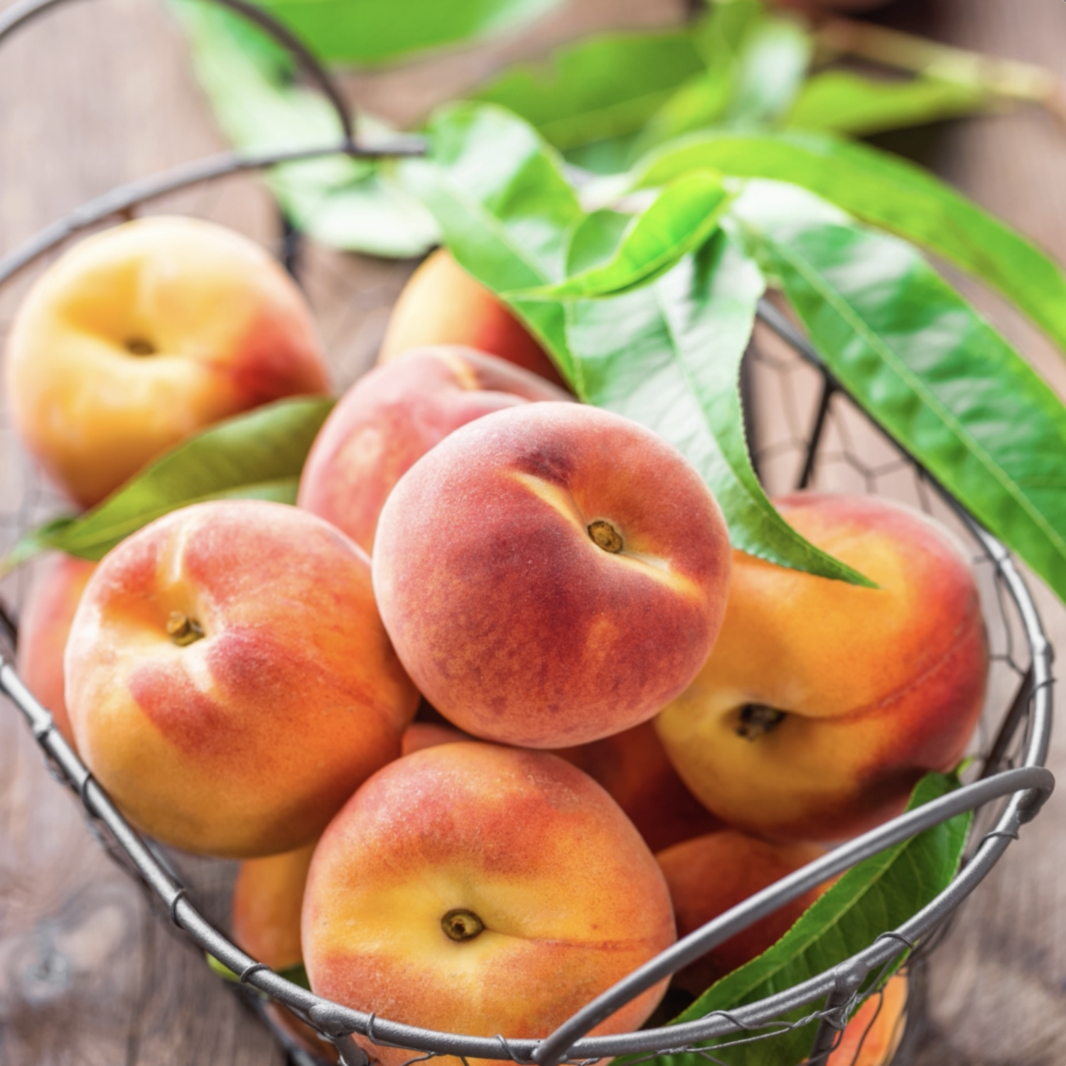 Lori Anne Southern Grown Peaches
