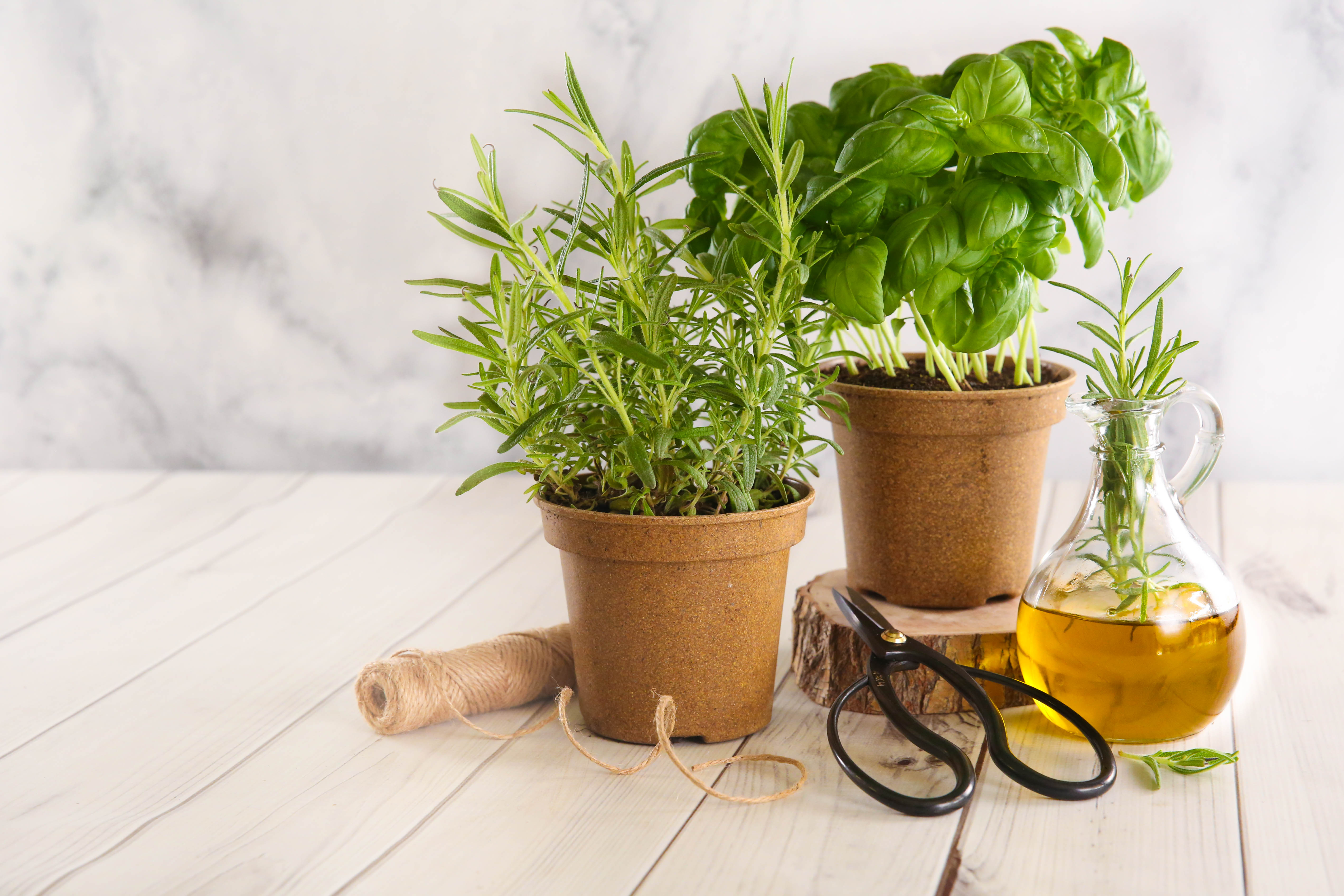 Smart Substitutions - Fresh vs Dried Herbs