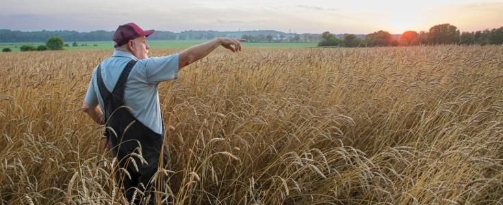 Growing a Local Grain Culture