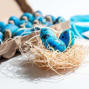 Knipschildt robin eggs in egg crate