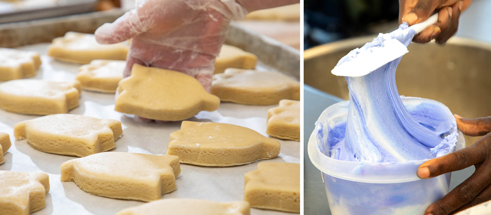 Laura's cookies cut out dough and icing being mixed.