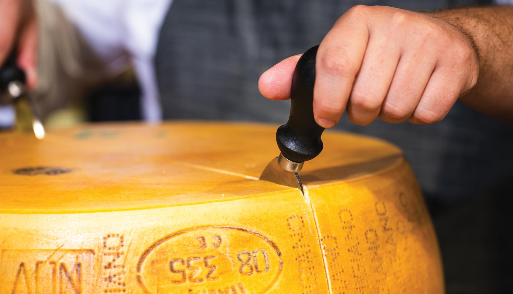 Whole Cheese Wheels