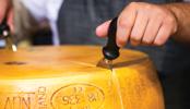 DLM Parmigiano Reggiano Whole Wheel Cheese shipped