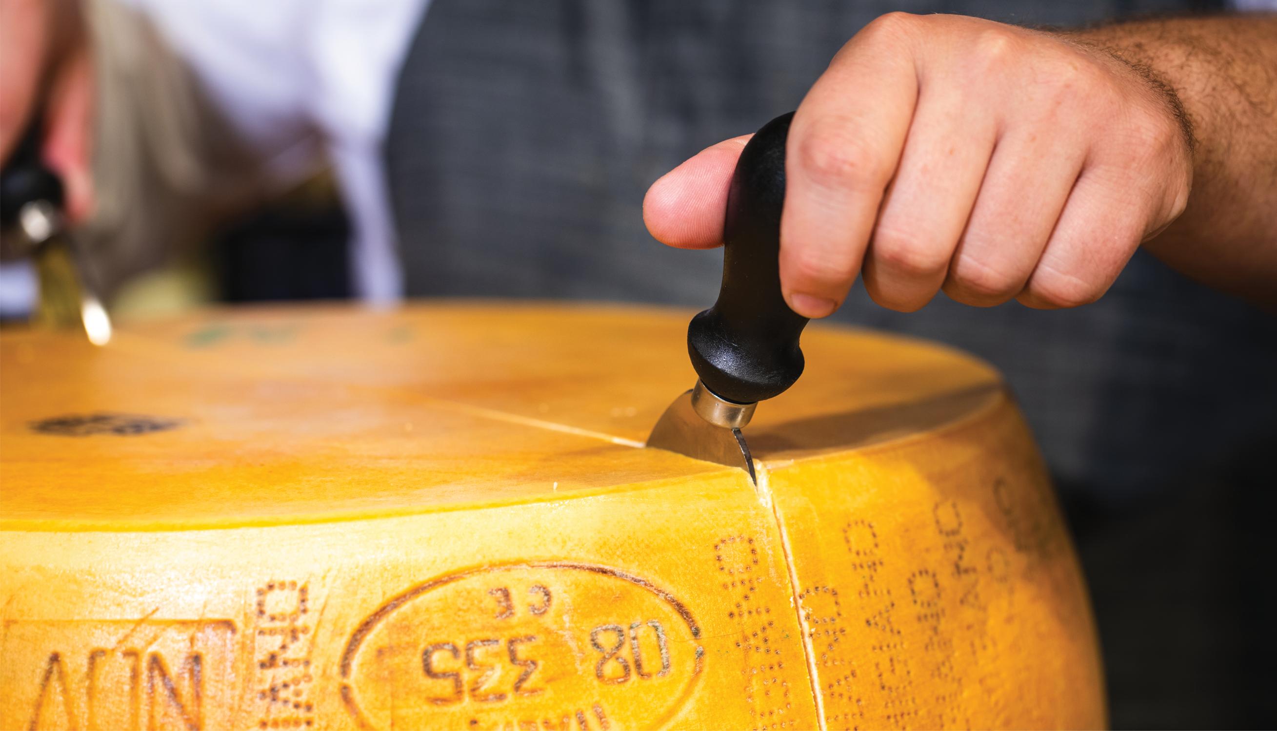 DLM Parmigiano Reggiano Whole Wheel Cheese shipped