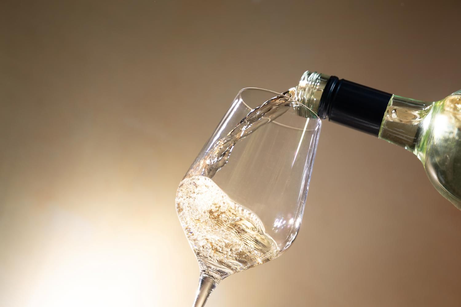 Wine Tasting at DLM Washington Square