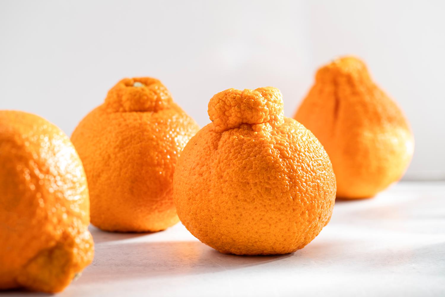 Sumo Citrus