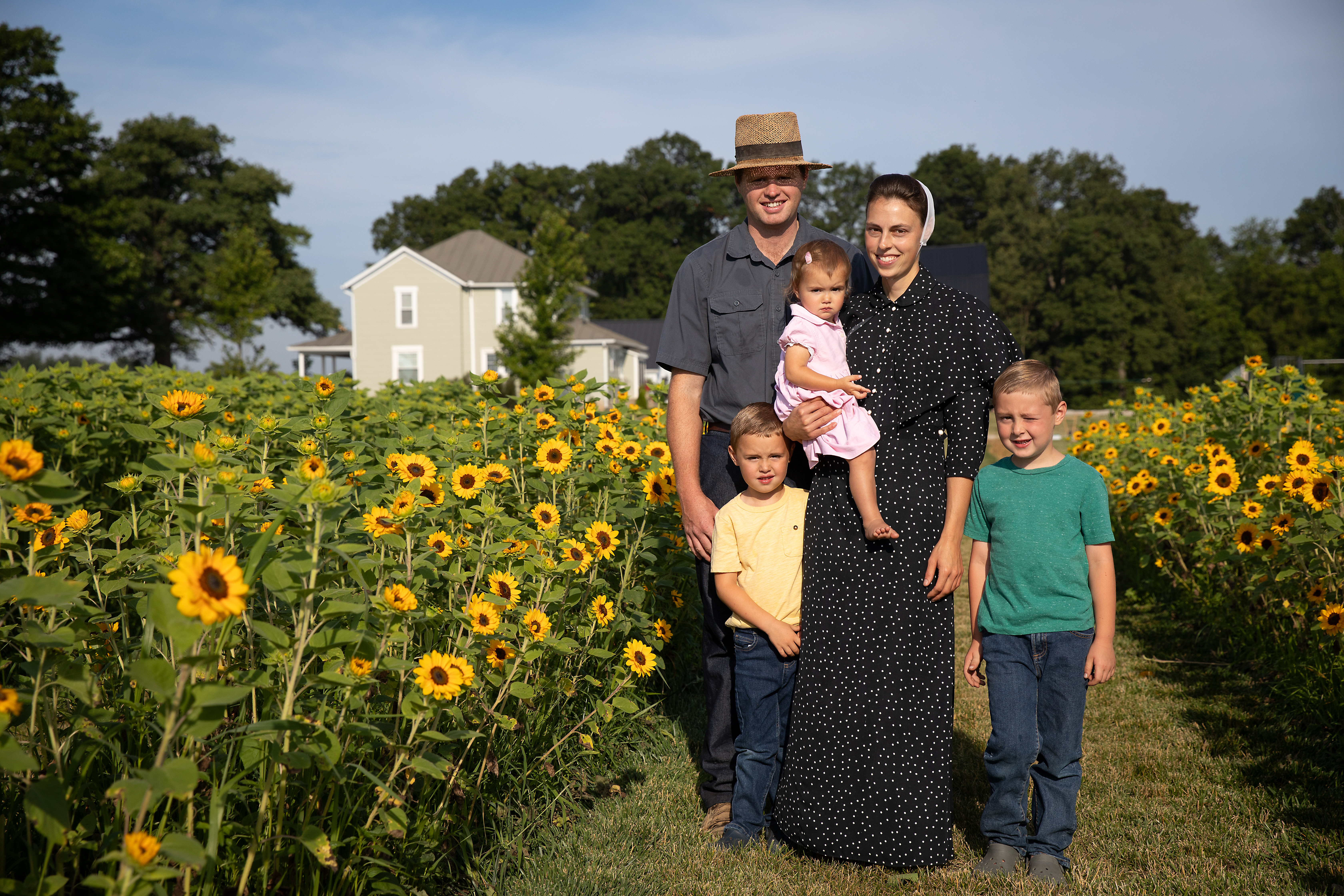 The Flower Field Sunflower Farm