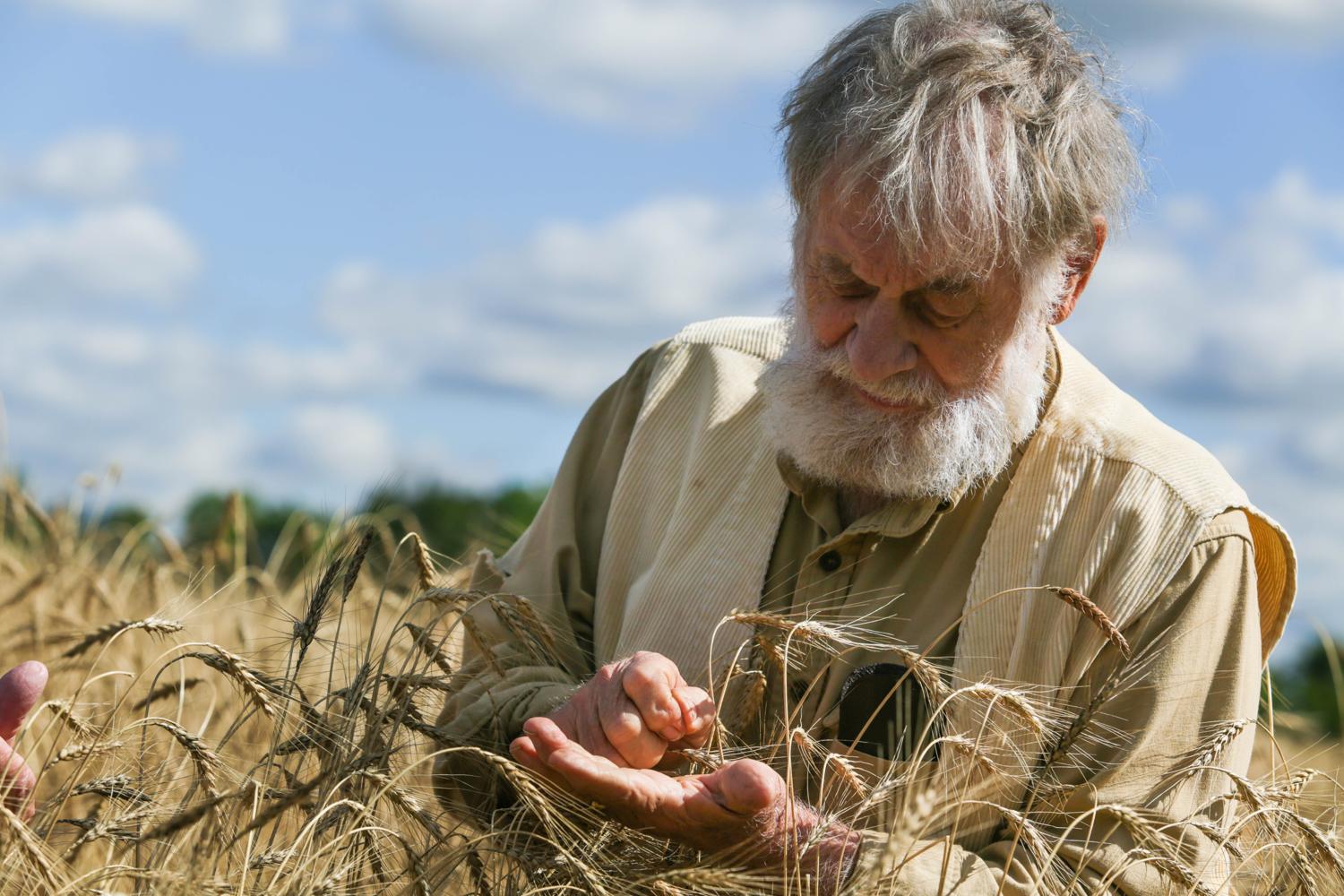 DLM Artisan Turkey Red Wheat Oatmeal Stout Pan Bread Dorothy Lane Market
