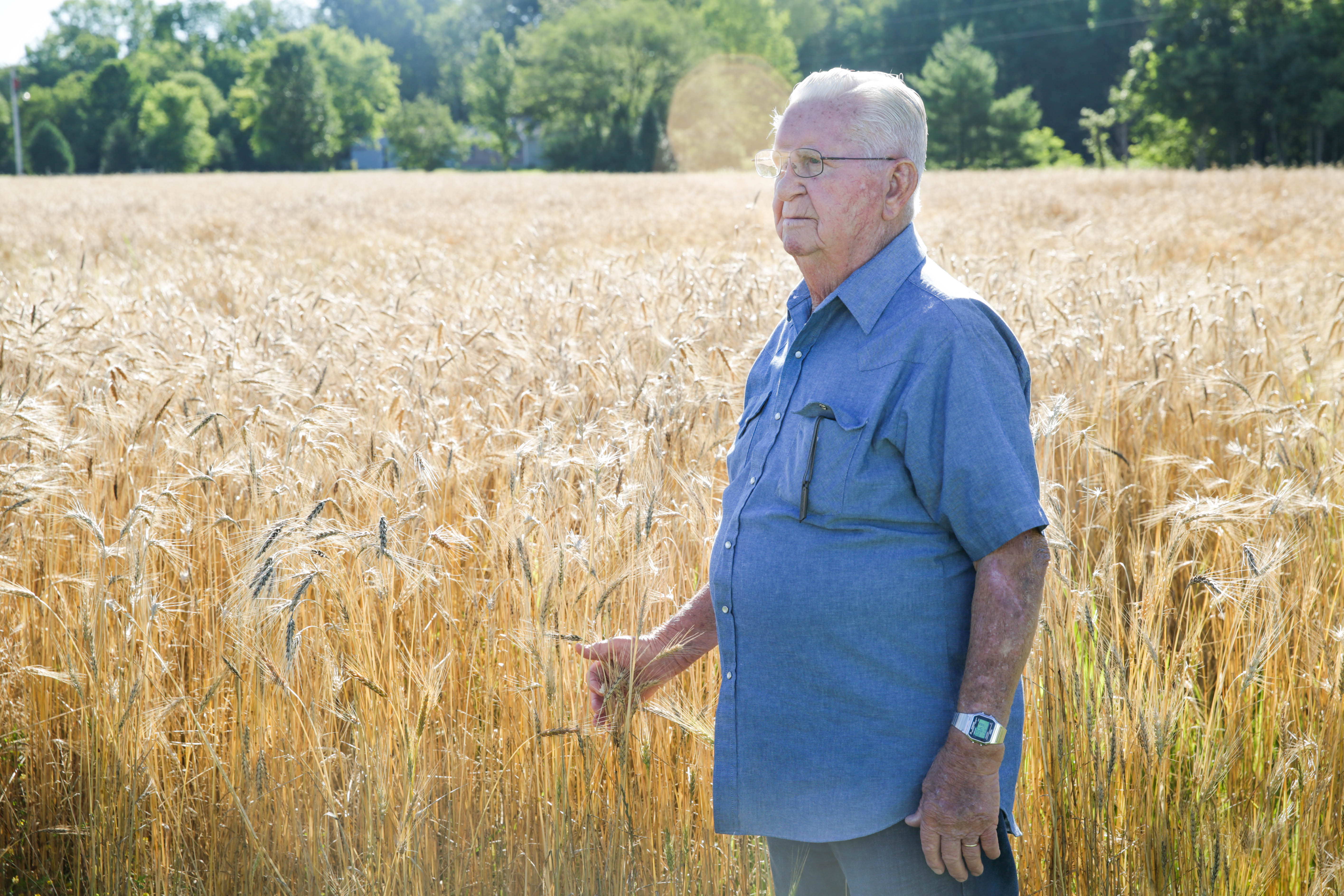 Dale Friesen's family were among the German Mennonites who settled within the Breadbasket of the U.S., bringing with them prized Turkey Red Wheat seeds. Dale grew up learning how to farm this wheat and brought his robust knowledge to the table with bringing a crop to Ohio soil.