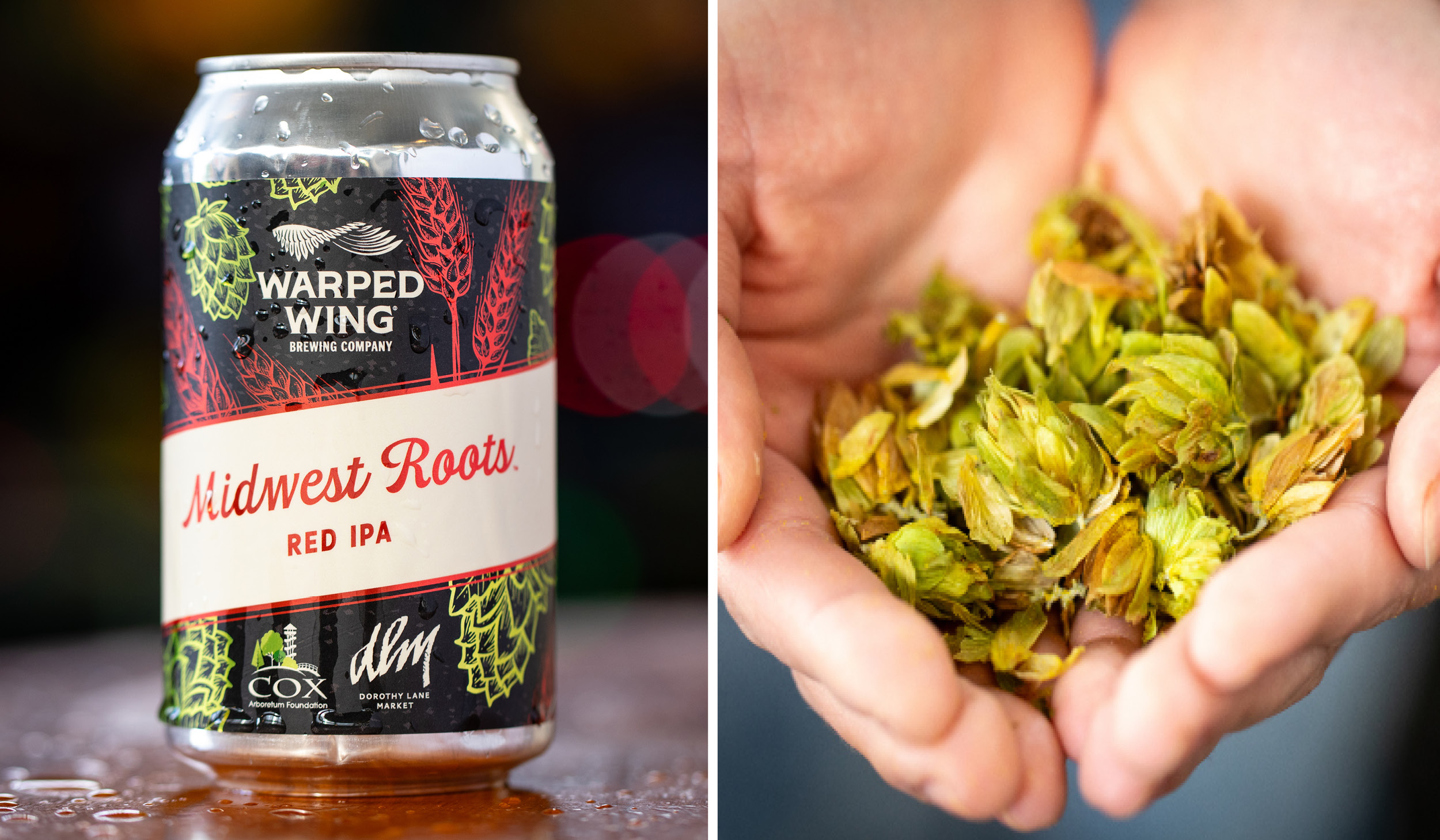 Warped Wing and Cox Arboretum Midwest Roots 