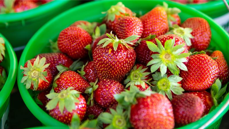 Local Strawberries