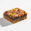 Chocolate Peanut Butter Brookie