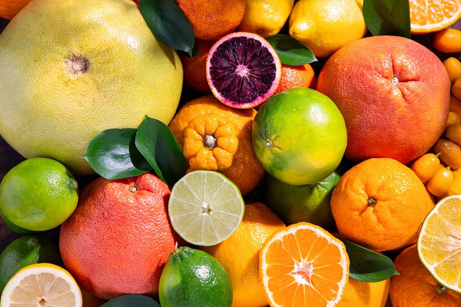 Longevity Self-Defense In a Modern Age