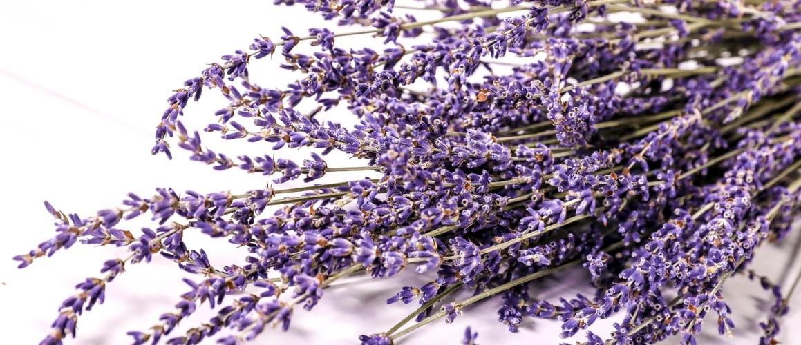 HEALTHY LIVING SEMINAR Make It, Take It Aromatherapy