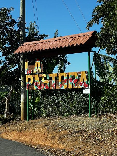 DLM Baristas Travel to Costa Rica