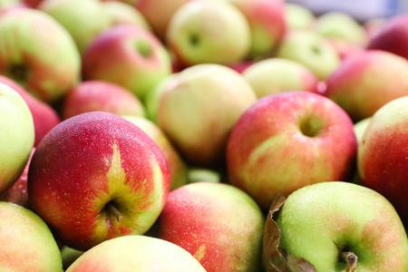 Apples Grown at Wesler Orchards