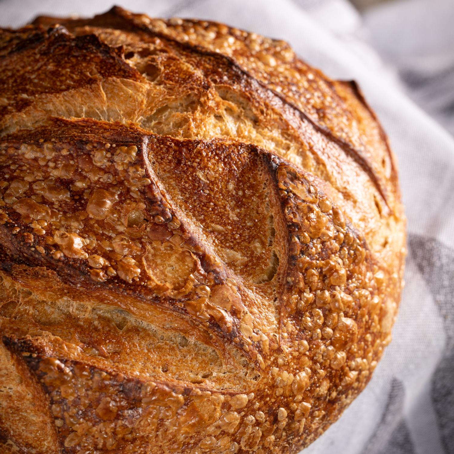 DLM Artisan Sourdough Bread