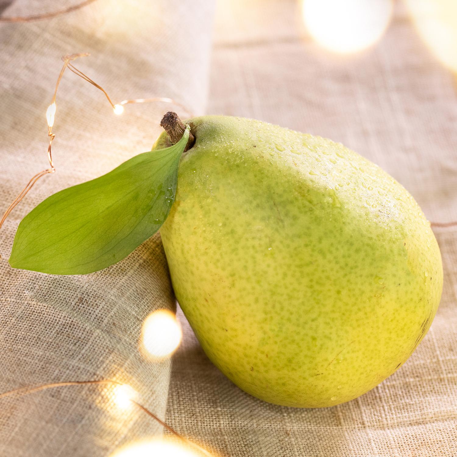 Holiday Pear Gift Box