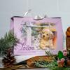 Loison Panettone Regal Cioccolato 660 grams puppy and kitten
