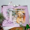 Loison Panettone Regal Cioccolato 660 grams puppy and kitten