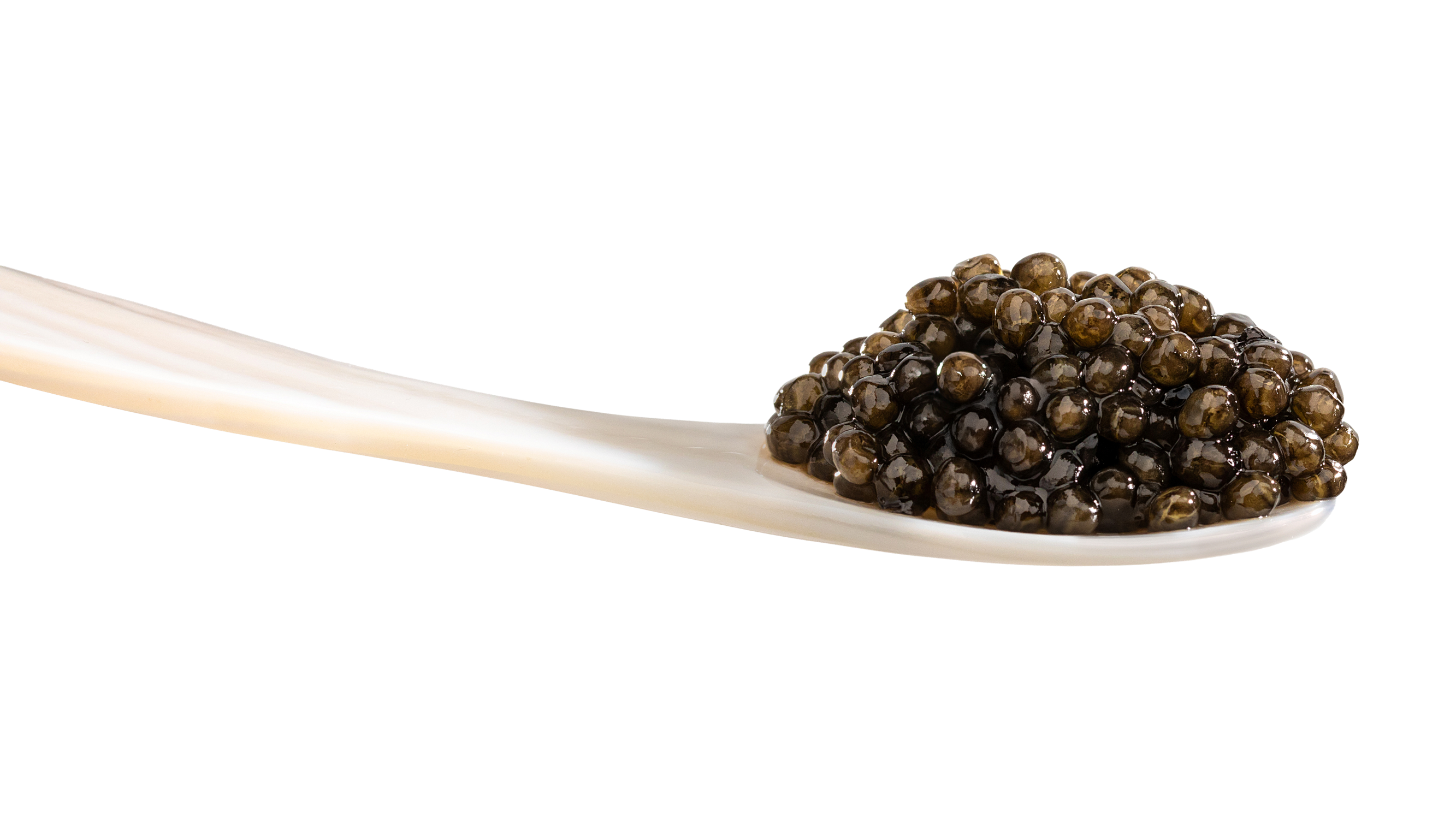 DLM Imperia Caviar Gift set