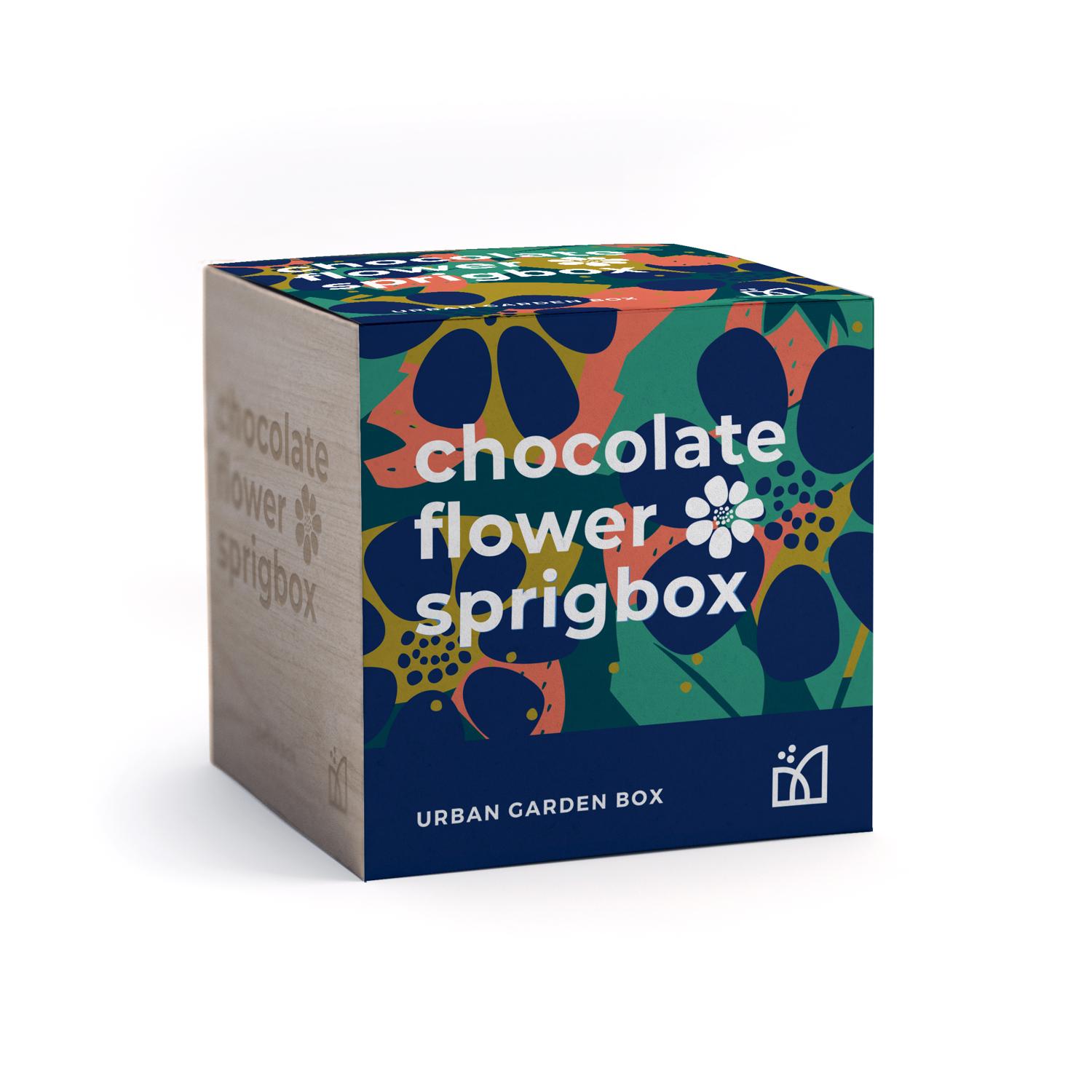 Chocolate Flower Sprigbox