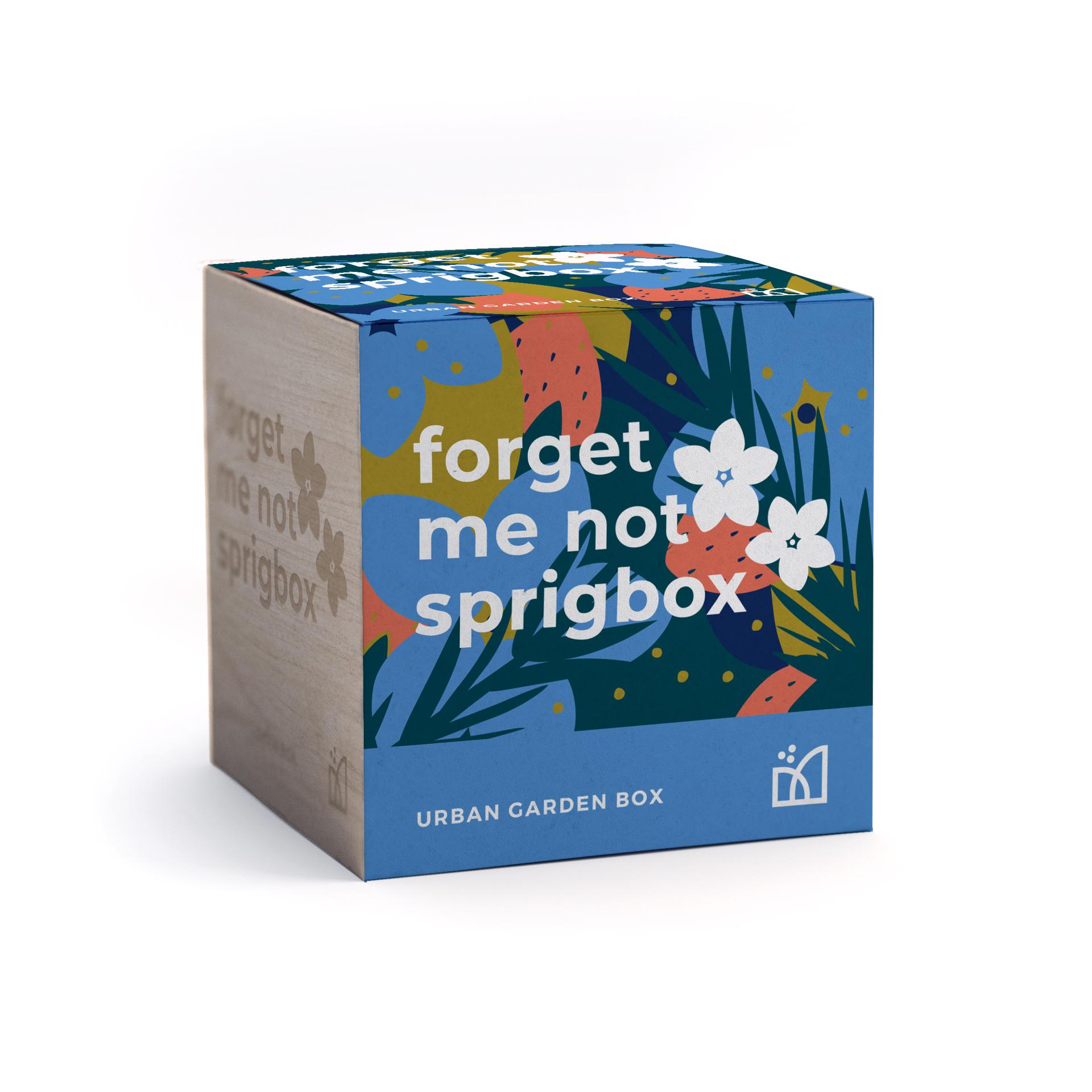 Sprigbox Forgetmenots