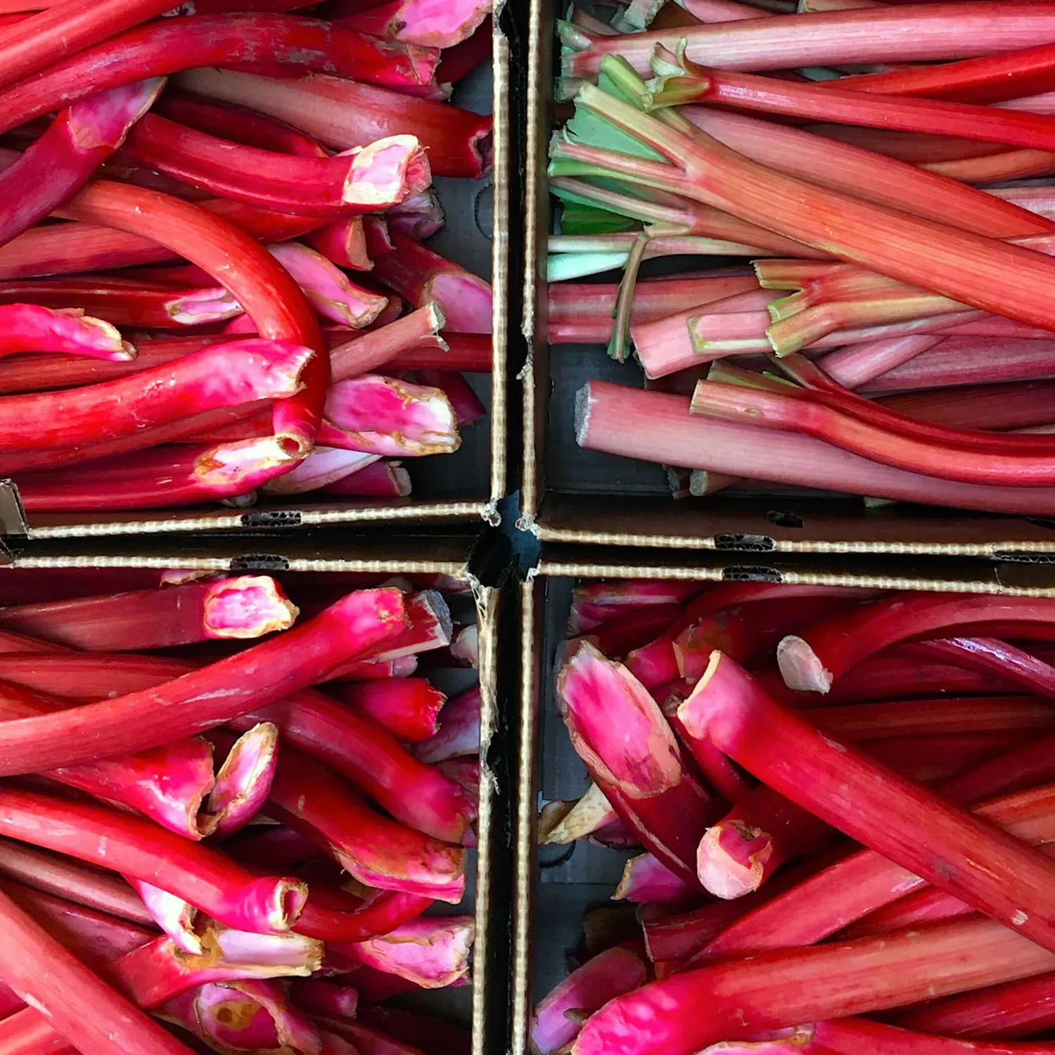 Rhubarb-Lavender-Spoon-Preserves