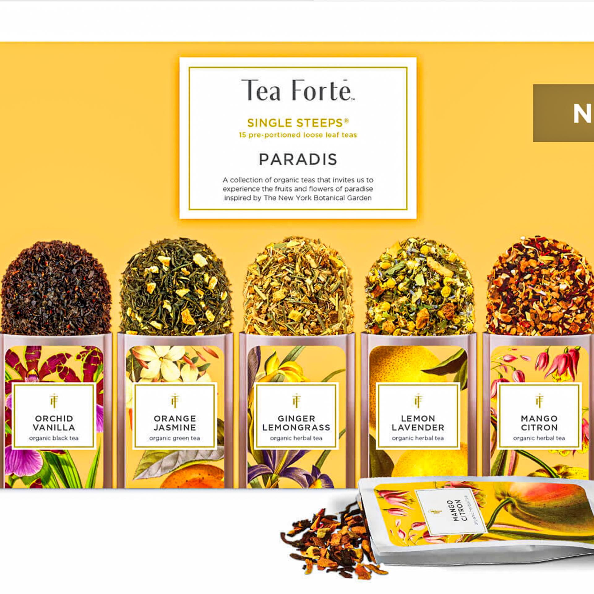 Tea Forté Paradis Single Steeps® | Dorothy Lane Market