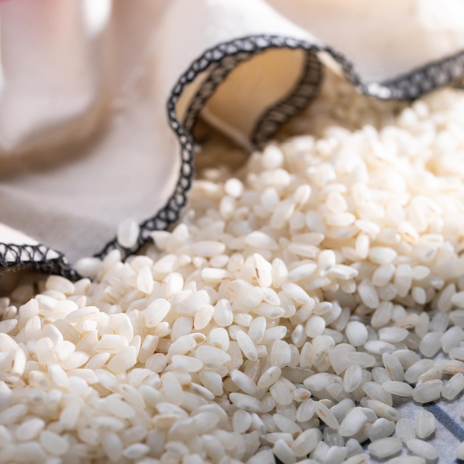 The Spanish Collection