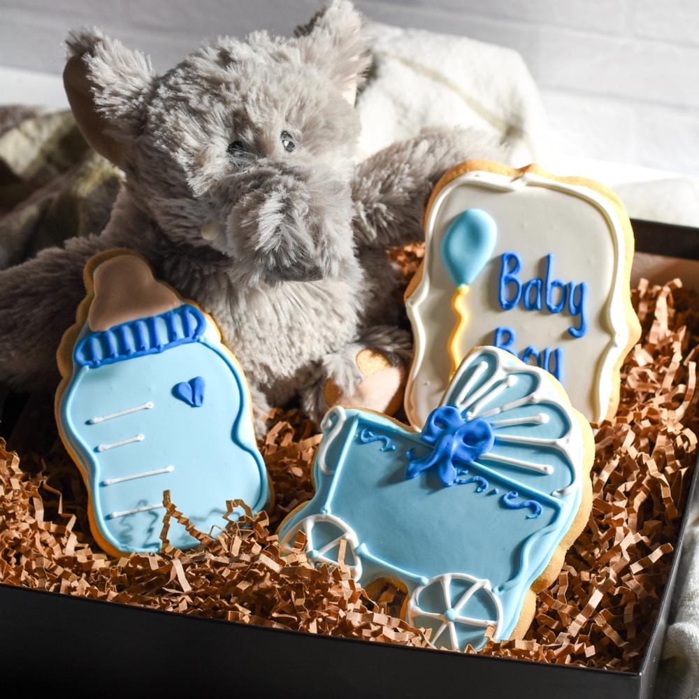 Welcome Baby Boy with cookies and warmies elephant