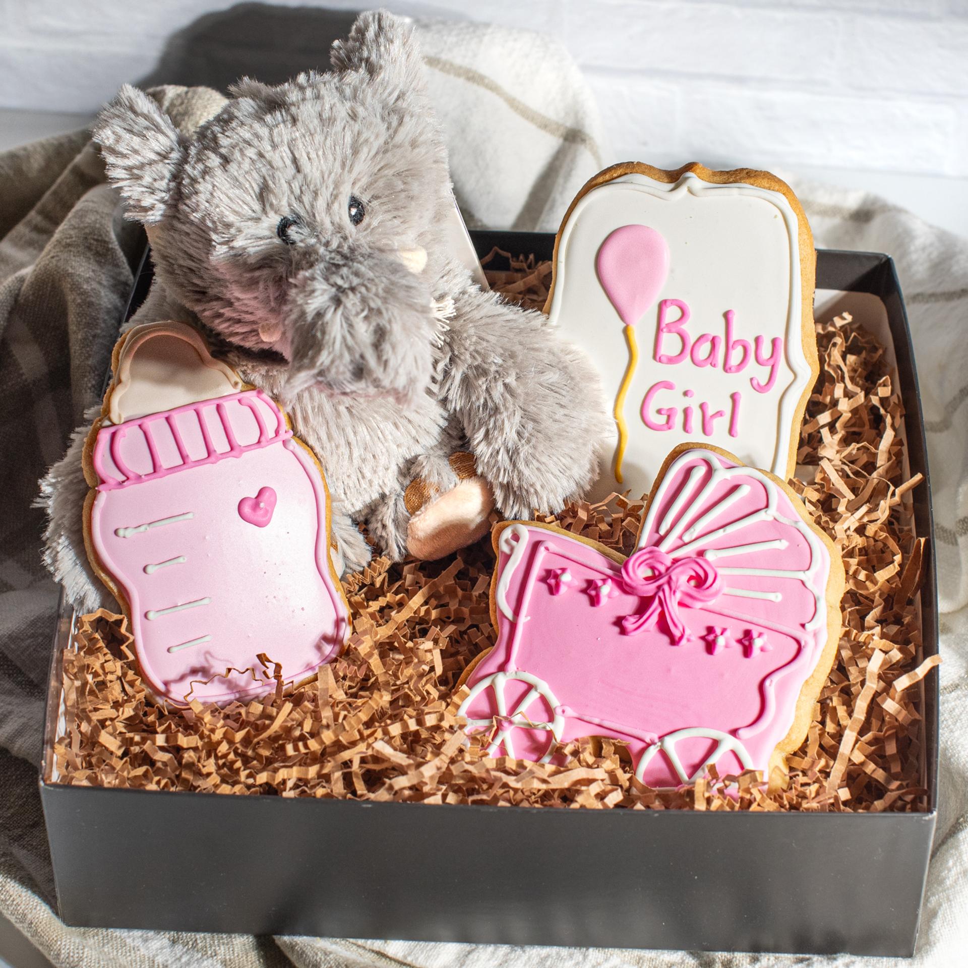 Welcome New Baby Girl with cookies and warms elephant plushy